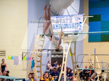 Thumbnail 2 in CHSAA 4A Dive Championships photogallery.
