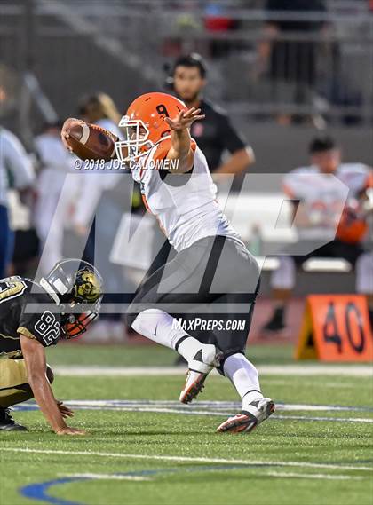 Thumbnail 1 in Edison [Thomas A.] vs Burbank photogallery.