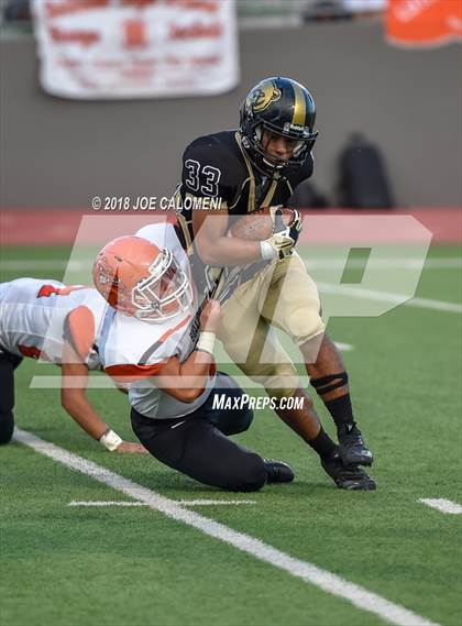 Thumbnail 1 in Edison [Thomas A.] vs Burbank photogallery.
