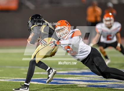 Thumbnail 3 in Edison [Thomas A.] vs Burbank photogallery.
