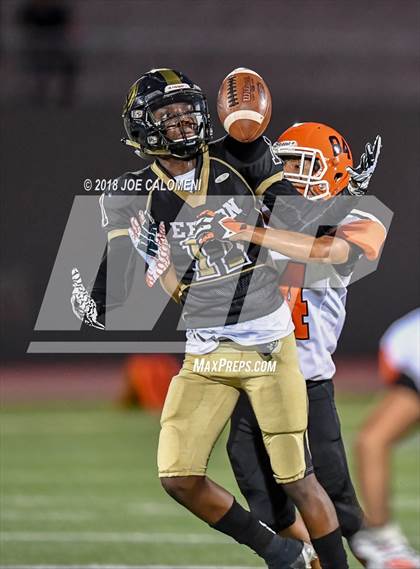 Thumbnail 1 in Edison [Thomas A.] vs Burbank photogallery.