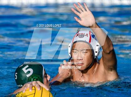 Thumbnail 2 in Ayala @ Bonita photogallery.