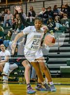 Photo from the gallery "Rouse @ Cedar Park"