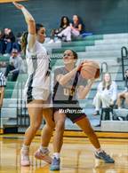 Photo from the gallery "Rouse @ Cedar Park"