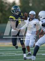 Photo from the gallery "Chavez @ Franklin"