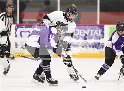 Thumbnail 2 in John Jay @ Brewster/Yorktown/SNS photogallery.