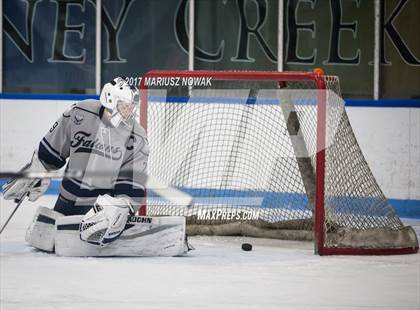 Thumbnail 3 in Farmington @ Stoney Creek photogallery.