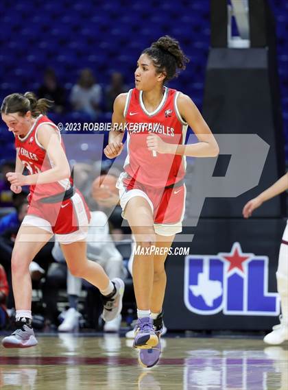 Thumbnail 1 in Fairfield vs. Holliday (UIL 3A Basketball State Final) photogallery.