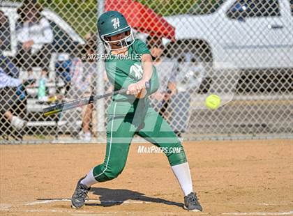 Thumbnail 1 in Del Norte @ Helix photogallery.