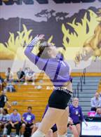 Photo from the gallery "Norwell @ Leo"
