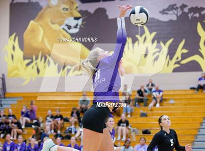 Thumbnail 3 in Norwell @ Leo photogallery.