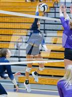 Photo from the gallery "Norwell @ Leo"