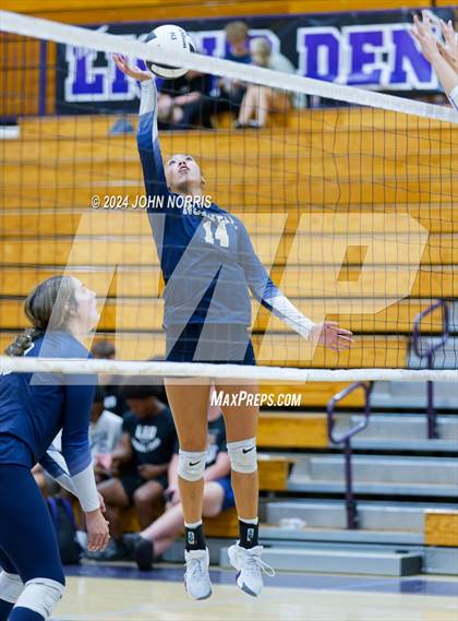 Thumbnail 1 in Norwell @ Leo photogallery.