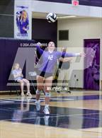 Photo from the gallery "Norwell @ Leo"