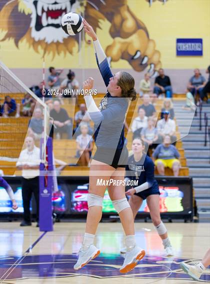 Thumbnail 3 in Norwell @ Leo photogallery.