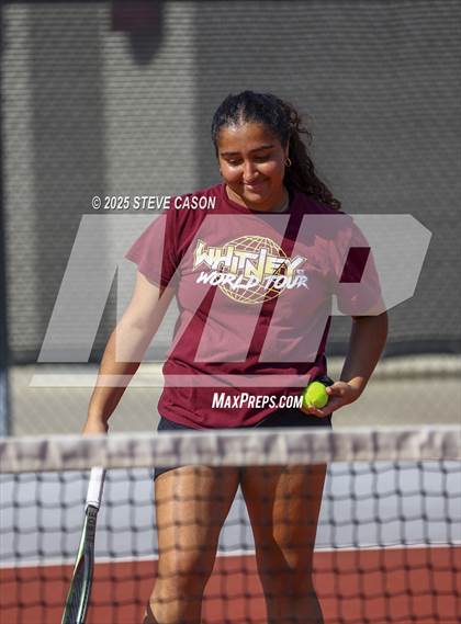 Thumbnail 1 in Placer @ Whitney photogallery.