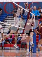 Photo from the gallery "Cardinal Newman @ Rancho Cotate"