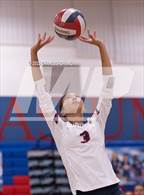 Photo from the gallery "Cardinal Newman @ Rancho Cotate"