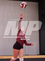 Photo from the gallery "Cardinal Newman @ Rancho Cotate"