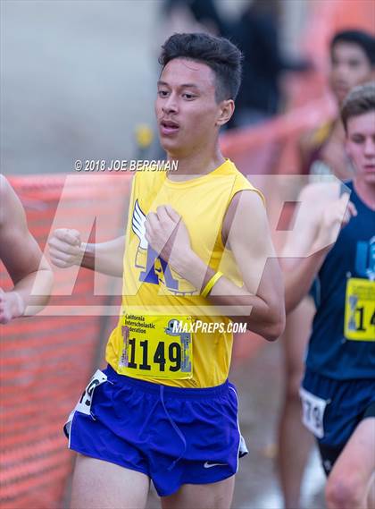 Thumbnail 1 in CIF State Cross Country Championships (Boys D3 Race) photogallery.