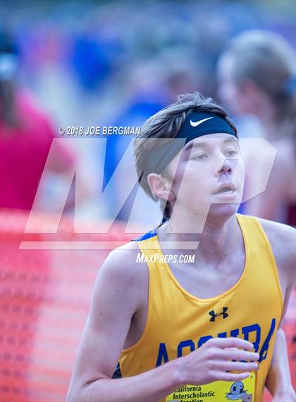 Thumbnail 3 in CIF State Cross Country Championships (Boys D3 Race) photogallery.