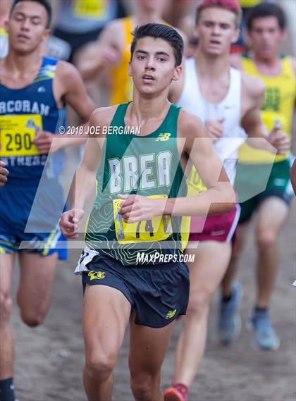 Thumbnail 2 in CIF State Cross Country Championships (Boys D3 Race) photogallery.