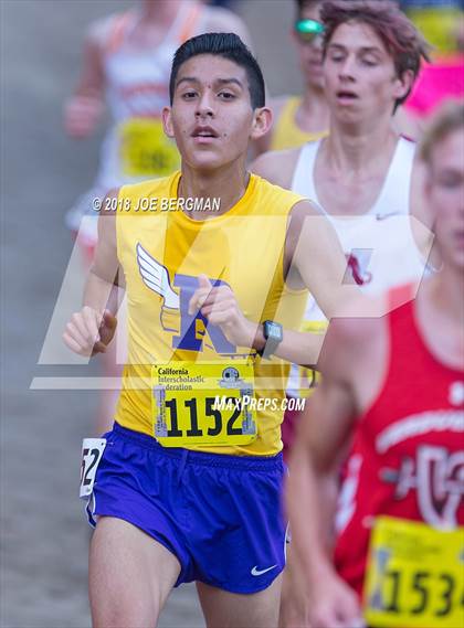 Thumbnail 1 in CIF State Cross Country Championships (Boys D3 Race) photogallery.
