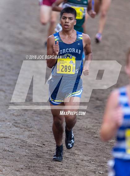Thumbnail 3 in CIF State Cross Country Championships (Boys D3 Race) photogallery.