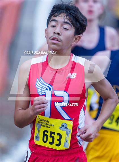 Thumbnail 1 in CIF State Cross Country Championships (Boys D3 Race) photogallery.