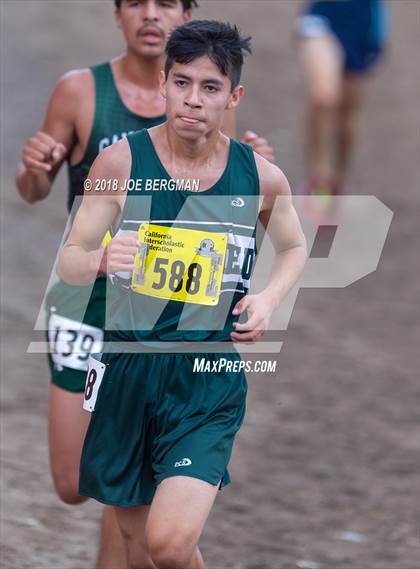 Thumbnail 1 in CIF State Cross Country Championships (Boys D3 Race) photogallery.