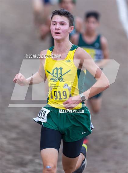 Thumbnail 3 in CIF State Cross Country Championships (Boys D3 Race) photogallery.