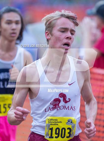 Thumbnail 2 in CIF State Cross Country Championships (Boys D3 Race) photogallery.