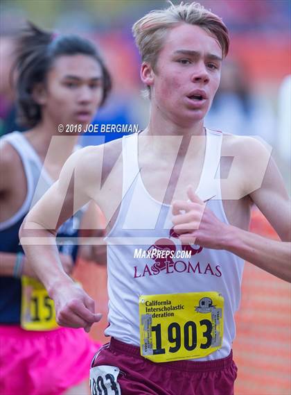 Thumbnail 1 in CIF State Cross Country Championships (Boys D3 Race) photogallery.
