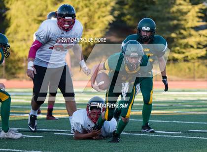 Thumbnail 1 in JV: Westmont @ Leigh photogallery.