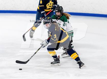 Thumbnail 1 in Arlington Catholic @ Austin Prep photogallery.