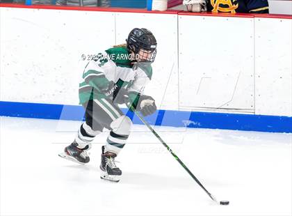 Thumbnail 3 in Arlington Catholic @ Austin Prep photogallery.
