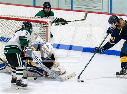 Thumbnail 2 in Arlington Catholic @ Austin Prep photogallery.