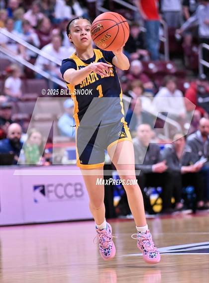 Thumbnail 1 in Shady Side Academy @ Loyalsock Township (PIAA 3A State Final) photogallery.