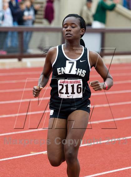 Thumbnail 2 in Stanford Invitational Mile photogallery.