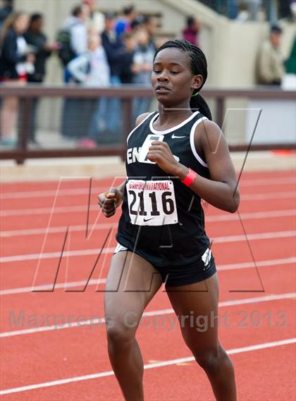Thumbnail 3 in Stanford Invitational Mile photogallery.
