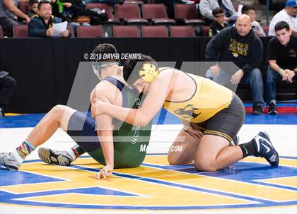 Thumbnail 3 in CIF State Boys Wrestling Championships (Round 1) photogallery.