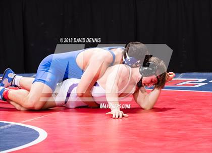 Thumbnail 2 in CIF State Boys Wrestling Championships (Round 1) photogallery.