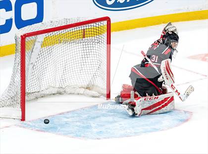 Thumbnail 1 in Boston College High vs Pope Francis (MIAA Division 1A State FInal) photogallery.