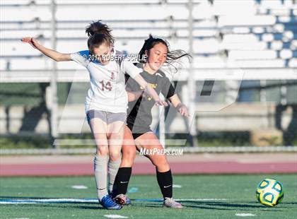 Thumbnail 2 in Buckingham Charter vs. Ben Holt College Prep Academy (CIF SJS D7 Final) photogallery.