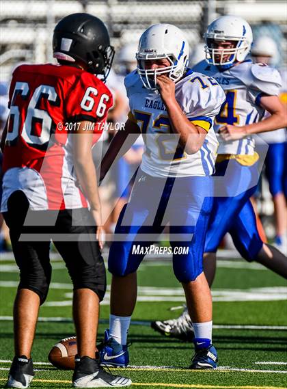 Thumbnail 1 in Brock @ Mineral Wells photogallery.