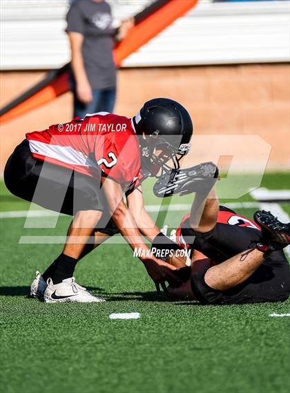 Thumbnail 2 in Brock @ Mineral Wells photogallery.