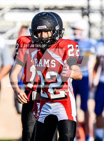 Thumbnail 2 in Brock @ Mineral Wells photogallery.