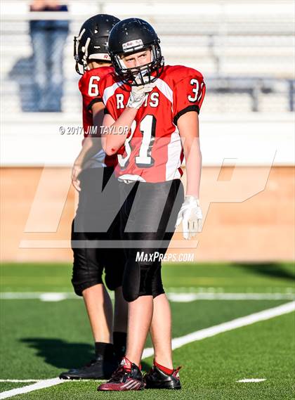 Thumbnail 1 in Brock @ Mineral Wells photogallery.