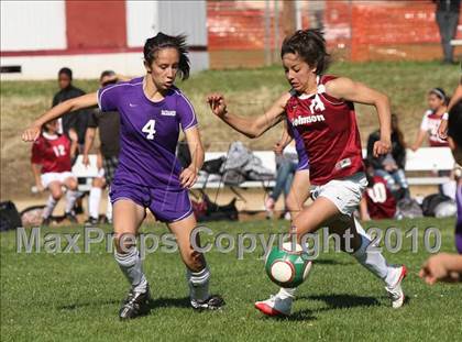 Thumbnail 2 in Sacramento @ Johnson photogallery.