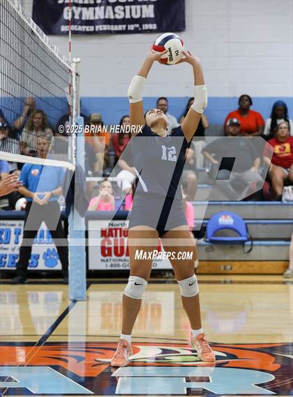 Thumbnail 1 in Draughn @ Foard photogallery.